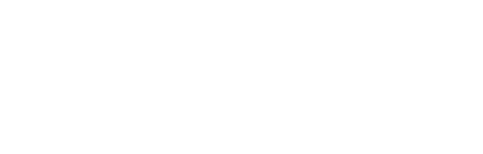 vmitet_logo